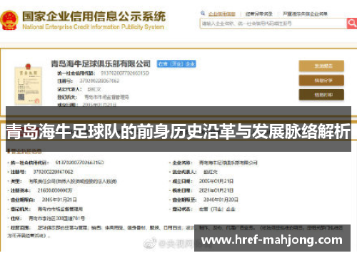 青岛海牛足球队的前身历史沿革与发展脉络解析 青岛海牛足球队的前身历史沿革与发展脉络解析