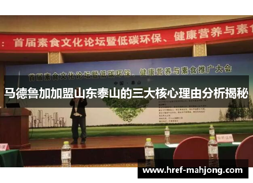 马德鲁加加盟山东泰山的三大核心理由分析揭秘